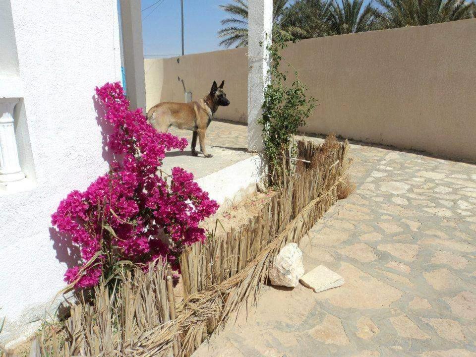 Residence Nour Douz Exterior foto