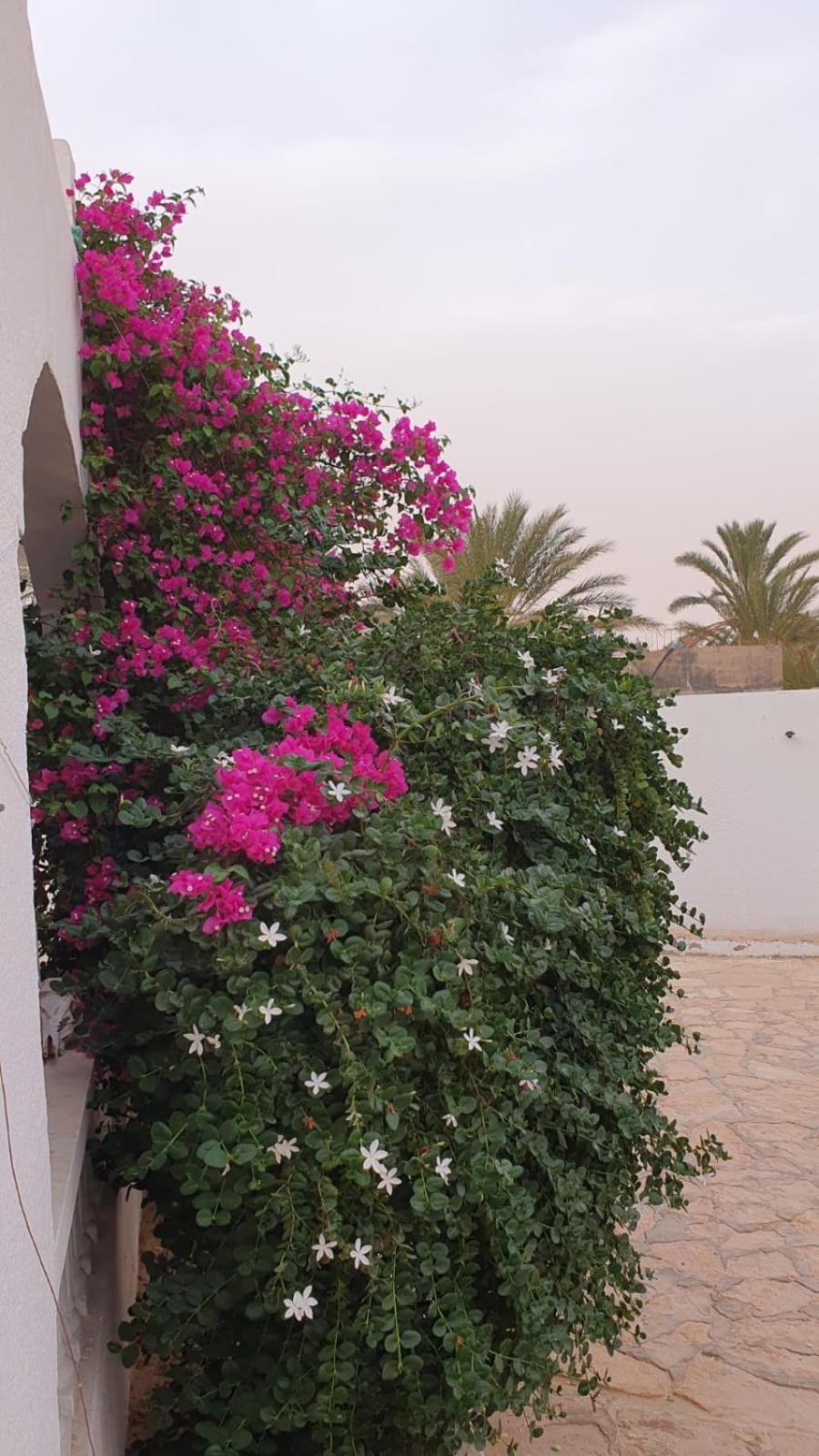 Residence Nour Douz Exterior foto